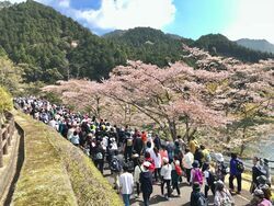 写真:大会の様子5