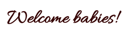 Welcome babies!