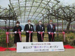 写真:藤のガーデンテープカット