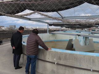 写真:鈴鹿市漁業協同組合視察(白子漁港)