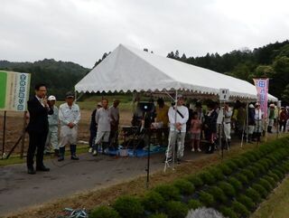 写真:田んぼアート田植えイベント
