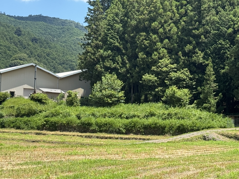 B292農地(道の駅美杉すぐ近く)