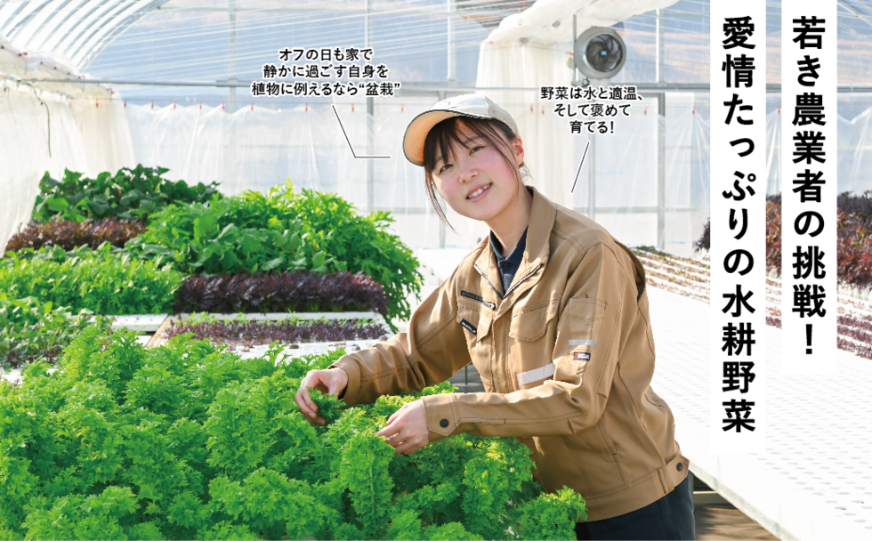 水耕栽培ハウスで野菜の手入れをする山崎さん