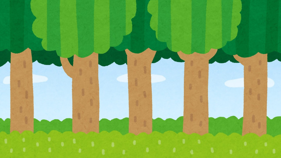 森林のイメージイラスト