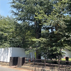 写真:解体前(南東)