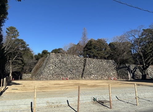 写真:解体後(南西)