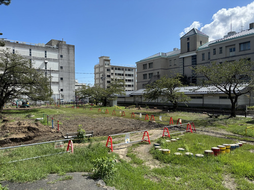 写真:埋門から広場全体を見た様子