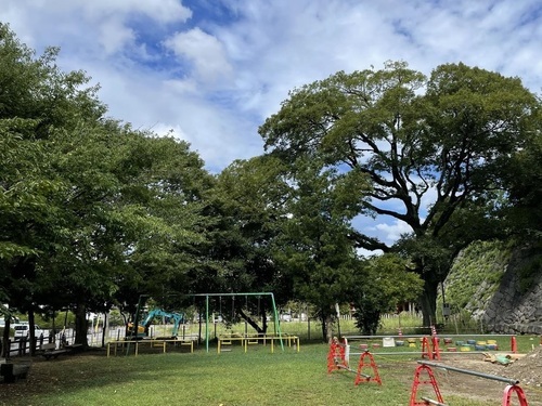 写真:南東広場西側の樹木