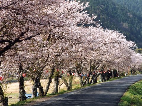 大仰河川公園