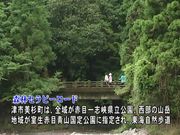 津市森林セラピー基地（動画）