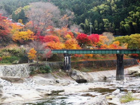 津の秋紅葉めぐり