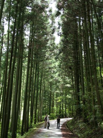 津市森林セラピー基地