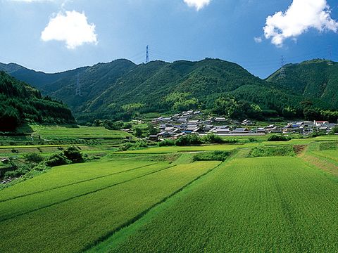 桂畑の農村風景
