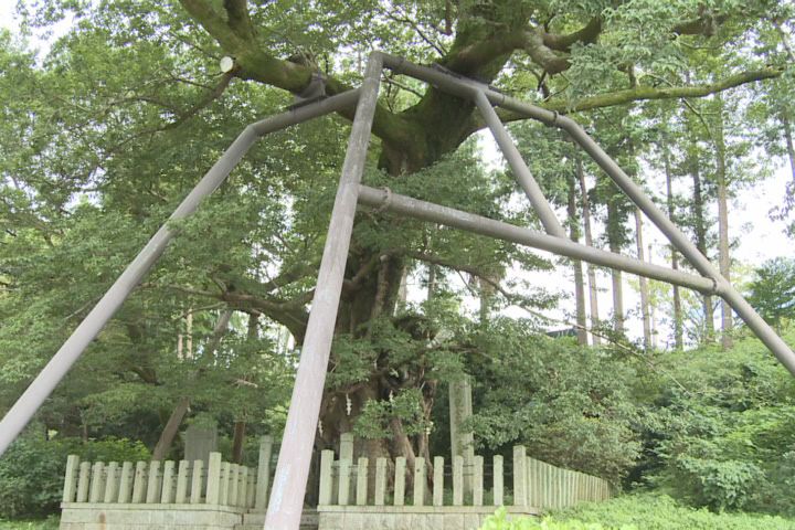 伊勢別街道の歴史探索