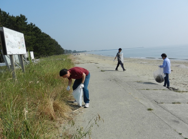 阿漕浦海岸清掃