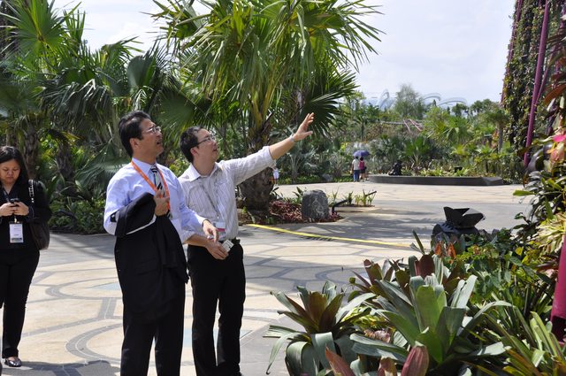 湾岸公園（Gardens by the Bay）を見学