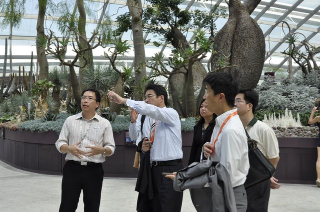 湾岸公園（Gardens by the Bay）を見学