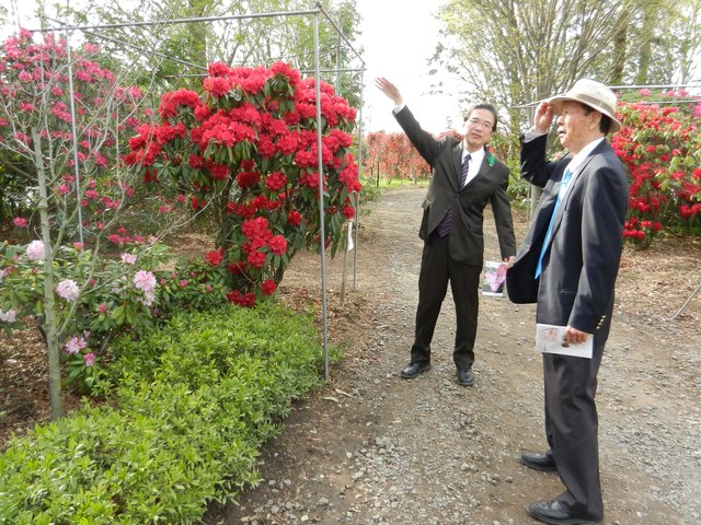 株式会社赤塚植物園「赤塚しゃくなげガーデン」見学