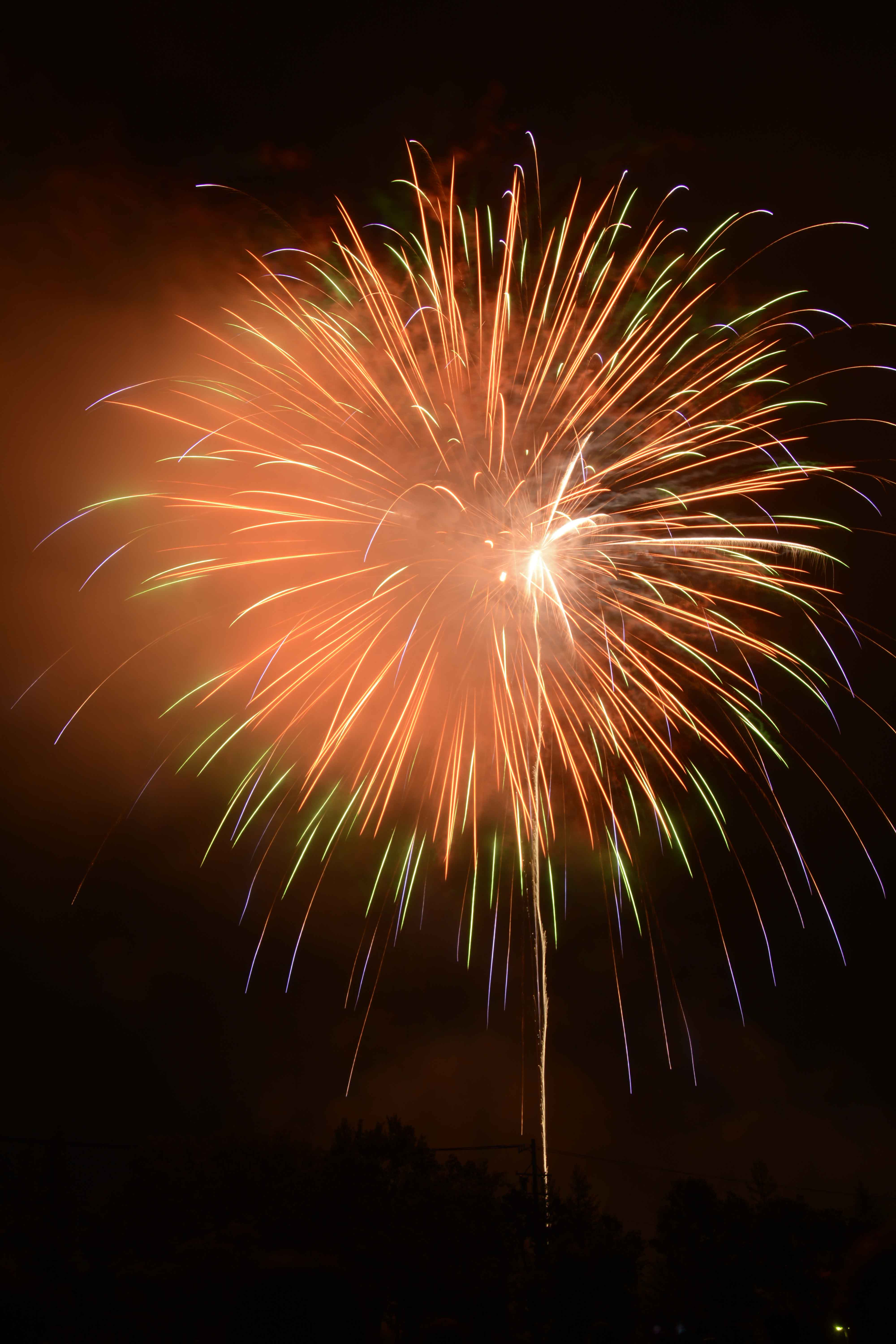 あのう「光れ！しかけ花火」祭り