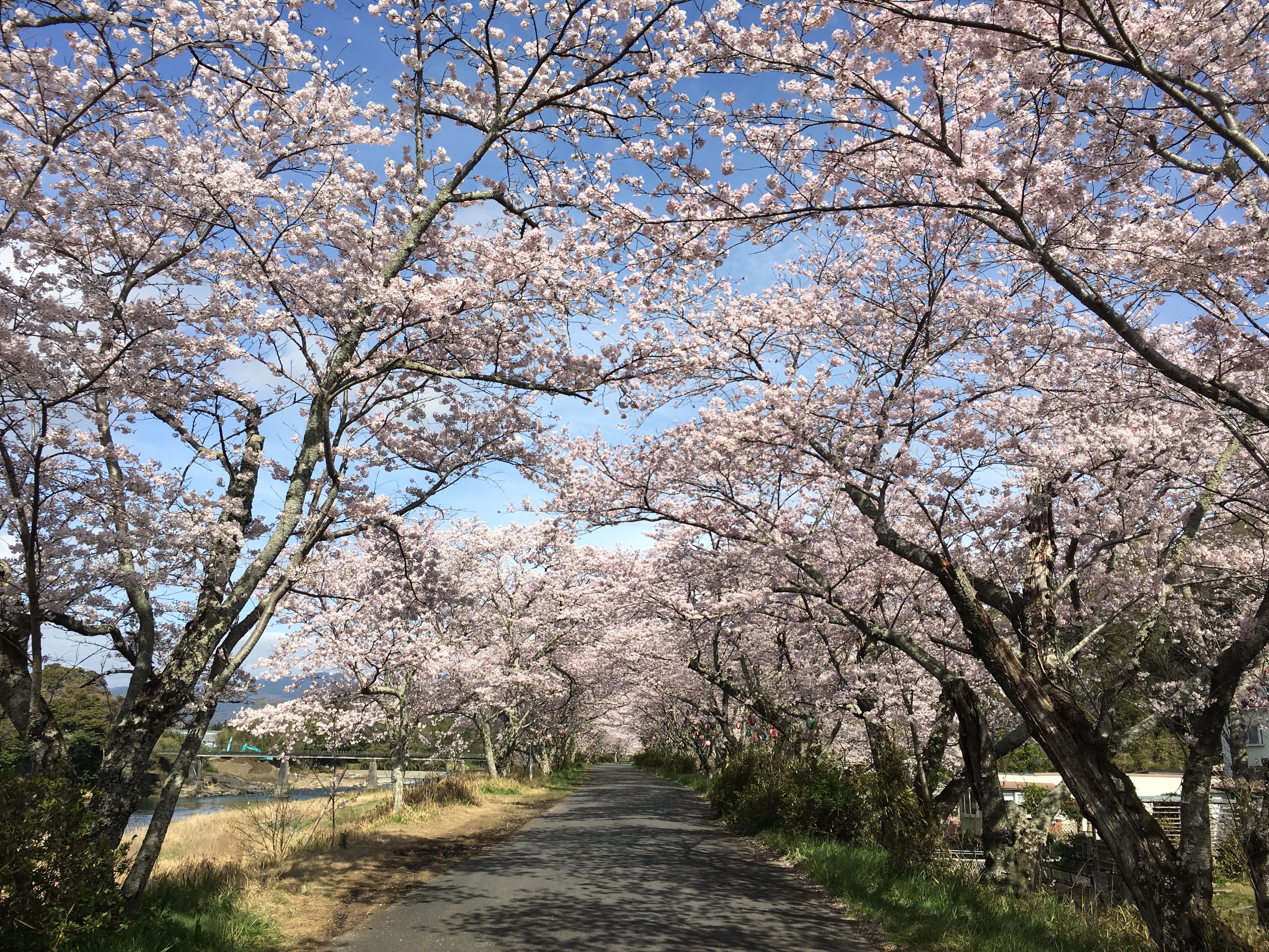 kamegahiro