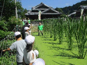 美杉小学校3