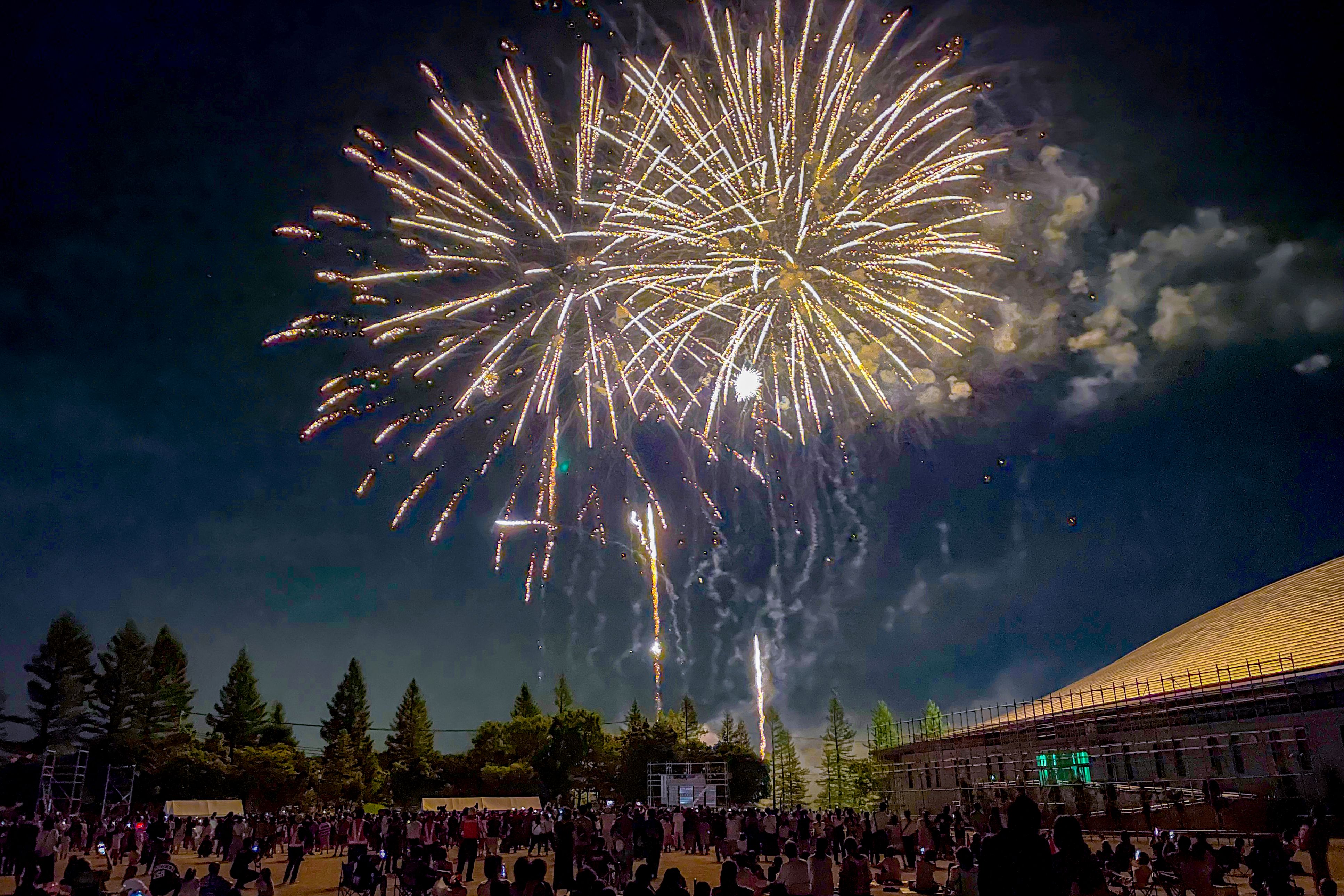  あのう「光れ！しかけ花火」祭りの様子6