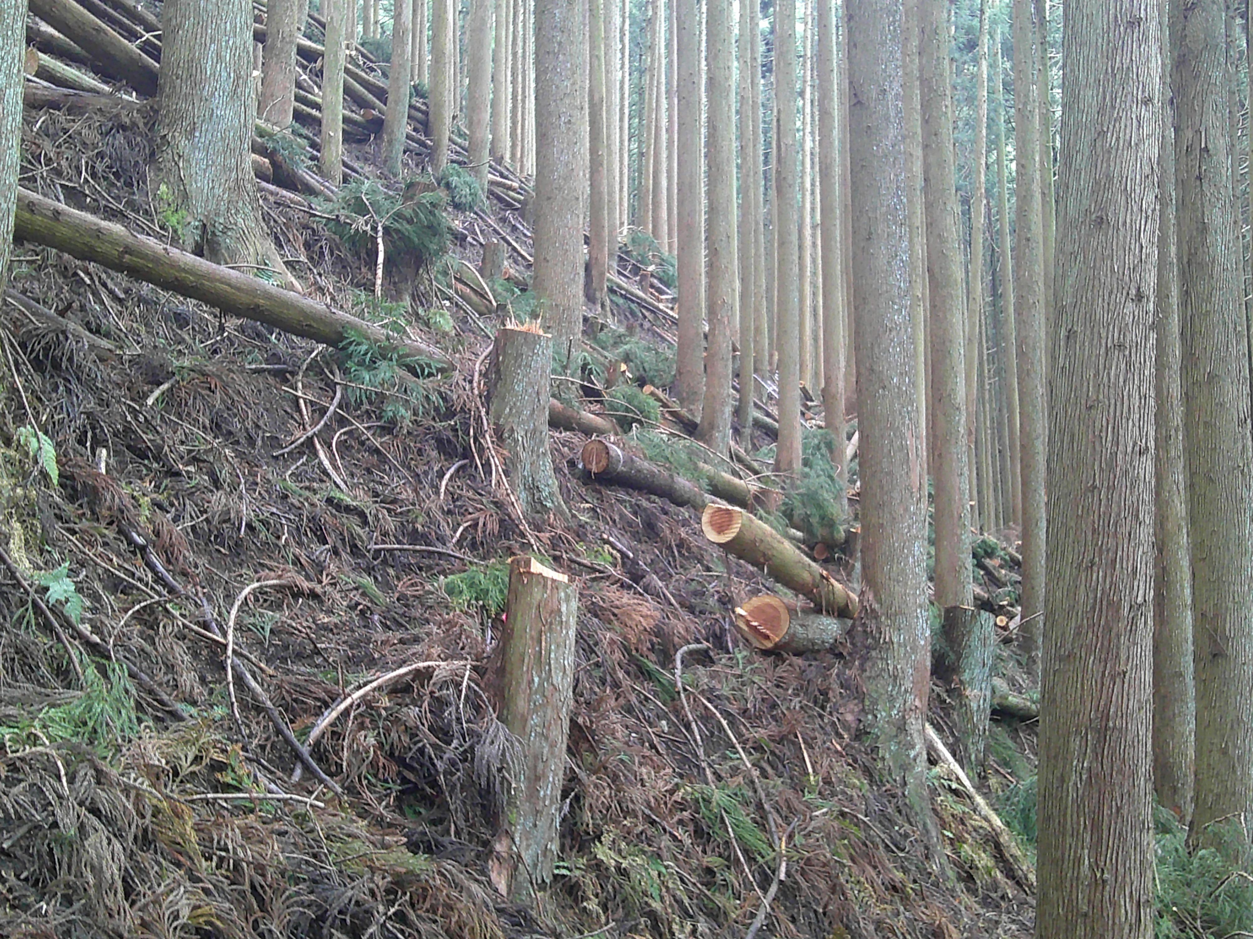 ryuiki