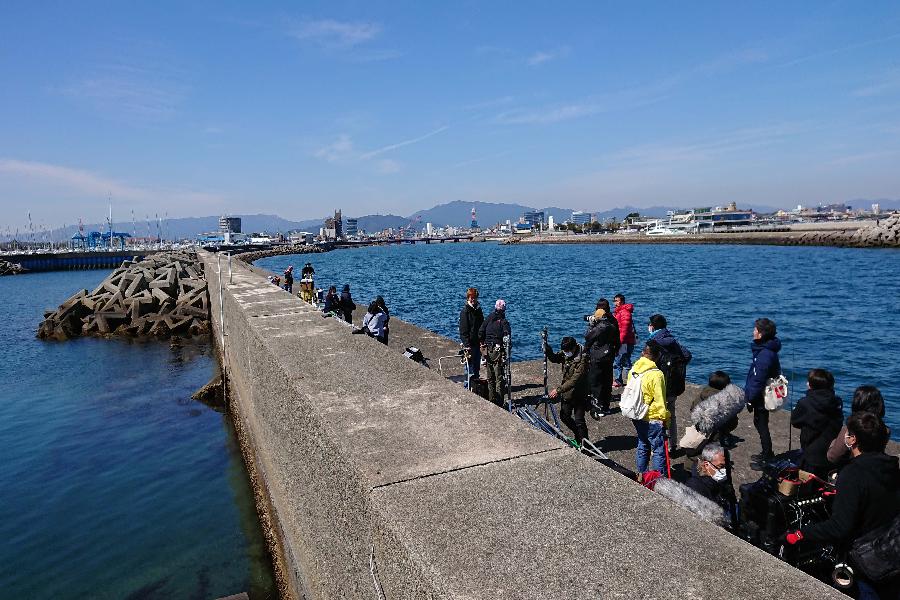 阿漕浦海岸堤防