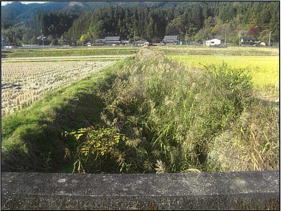 カンノン谷川　浚渫前