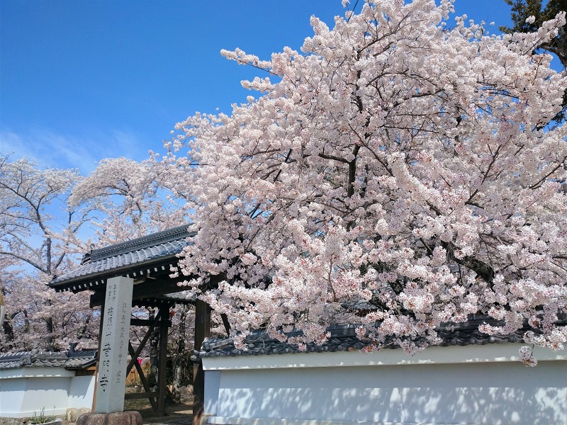 イメージ写真（岩屋不動）