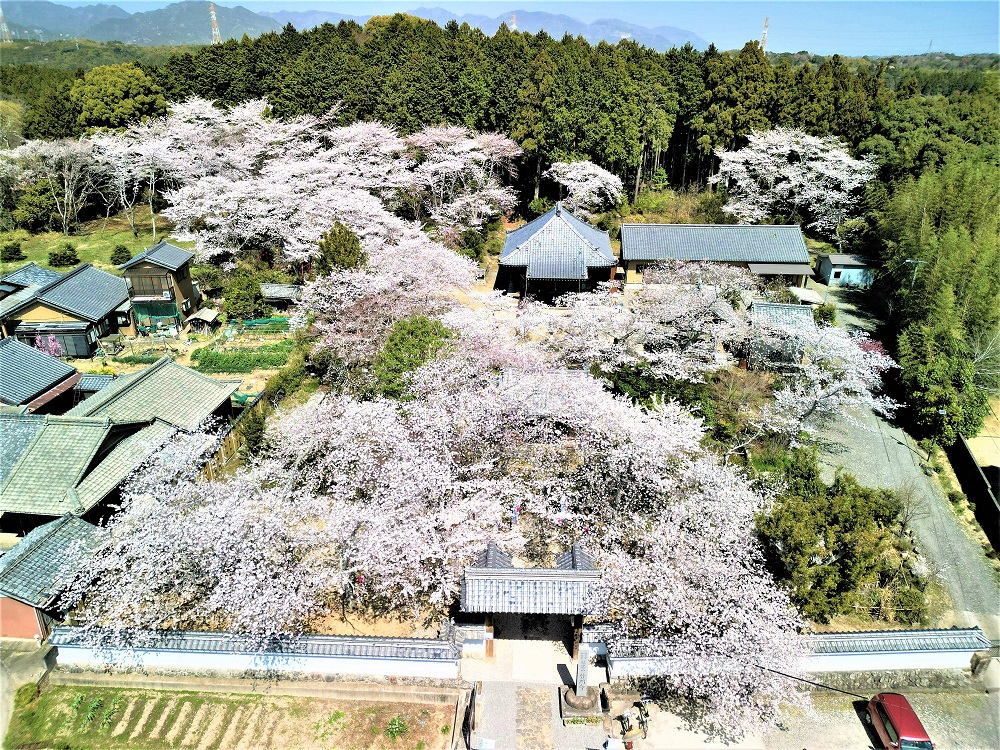 イメージ画像　普門寺