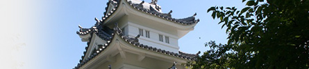 文化・スポーツ